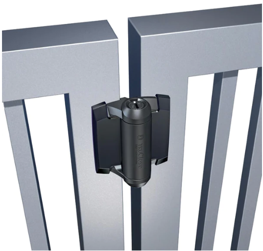 Truclose Regular for Gate Hinges