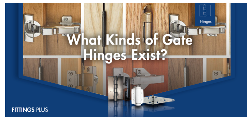 Kinds of Gate Hinges